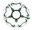 rose.gif (3839 bytes)